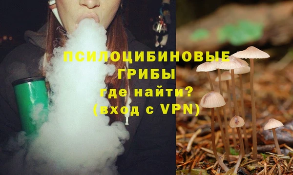 ГАЛЛЮЦИНОГЕННЫЕ ГРИБЫ Белоозёрский