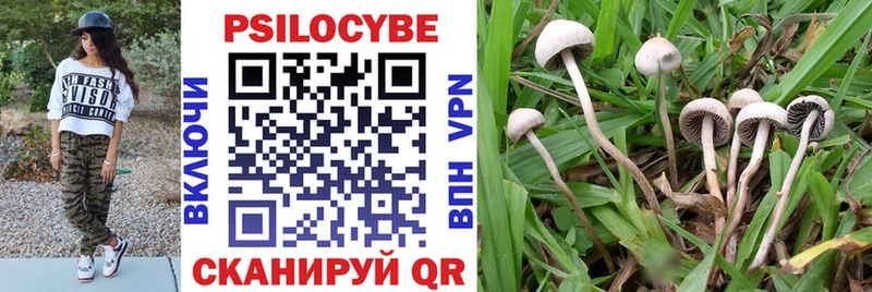купить наркотик  Кубинка  Псилоцибиновые грибы MAGIC MUSHROOMS 